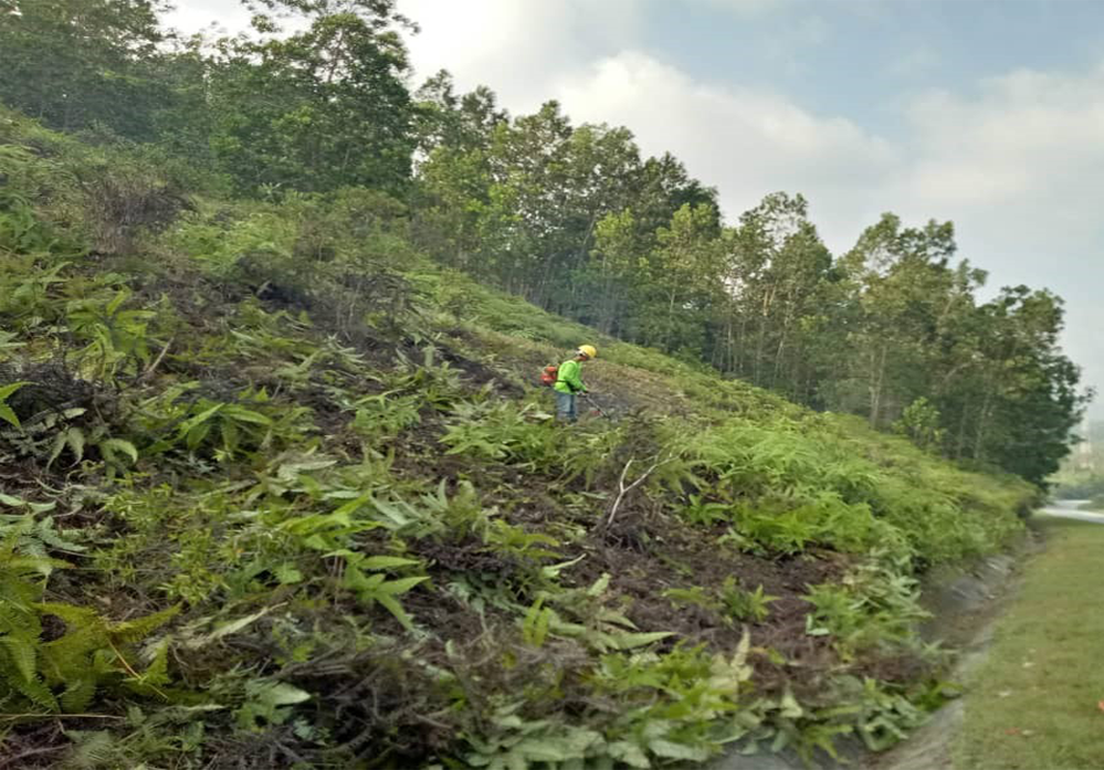 DRAINAGE-CLEANING-GRASS-CUTTING